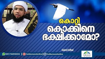 കൊറ്റി കൊക്കിനെ ഭക്ഷിക്കാമോ? | Latest Speech | Aslami Usthad | Hubburasool Online
