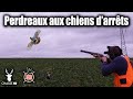 SUPERBE CHASSE AU PAYS DES PERDREAUX GRIS AVEC NOS CHIENS D&#39;ARRÊTS ! PLATINE CARTONNE !