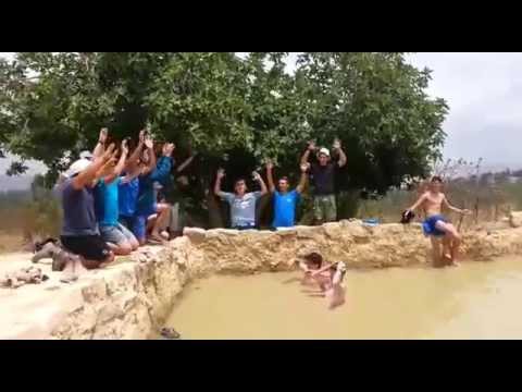 צוות דרור