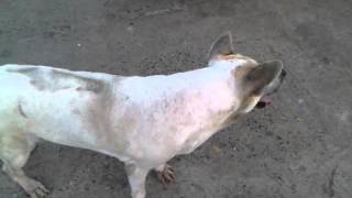 VID-20120514-00000