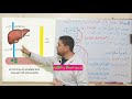 نقل المغذيات في العضوية الجزء 1 