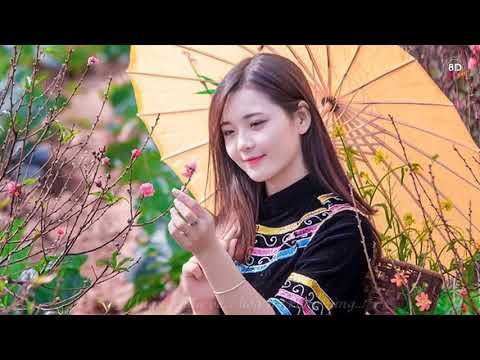 Video HOA CỦA NÚI | LA HOÀNG QUÝ |BẢN TÌNH CA CHÀNG TRAI... - youtube