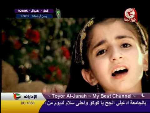 toyor-al-jannah---كنت-قاعدة