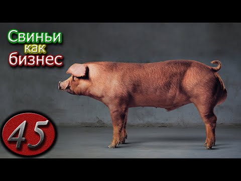 Video: Дюрки татымалдары дагы эле жасалабы?