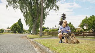 SCPI & Dogs Best Friend: Teach your dog to sit​ by Southern Cross 10 views 2 months ago 58 seconds