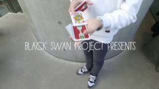 CHRISTMAS TUTORIAL SERIES // BLACK SWAN PROJECT