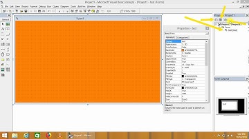 visual basic form properties