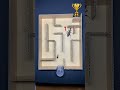 Fastest Bug Wins the Maze Championship!