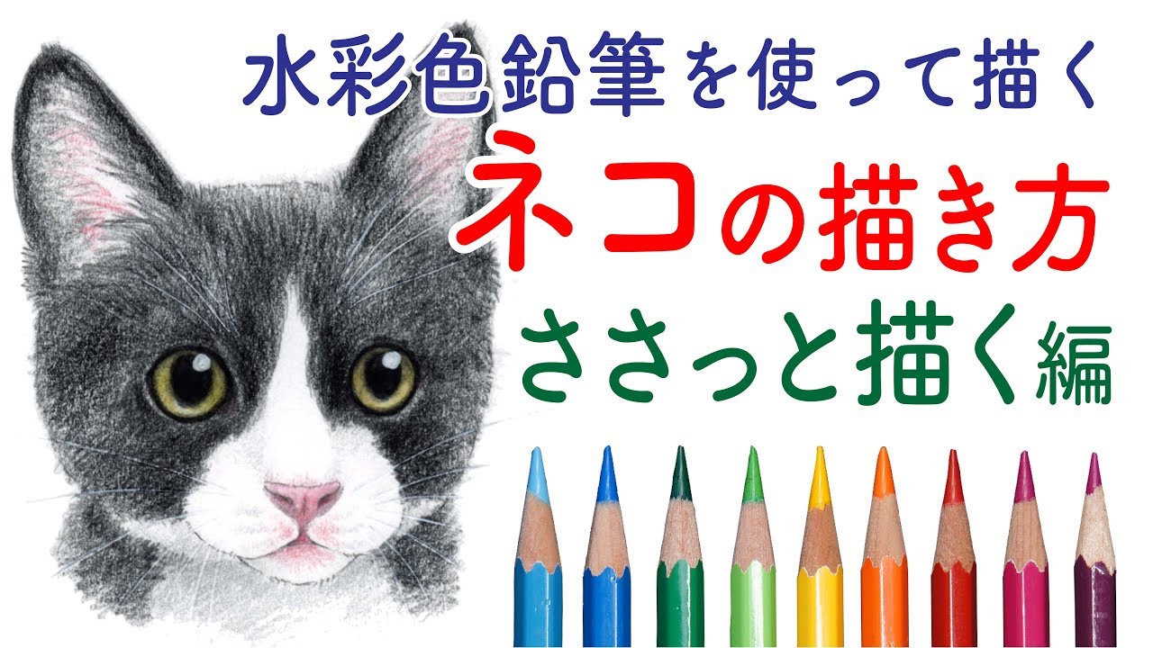 猫の描き方 水彩色鉛筆 正方形から描くリアルな猫の顔 How To Draw A Cat With Watercolor Pencils Youtube