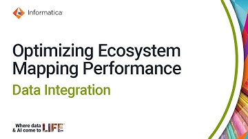 Optimizing Ecosystem Mapping Performance in Data Integration