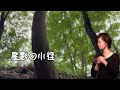 星影の小径 いとうちこ 早乙女浩司 星影の小径 いとうちこ 早乙女浩司