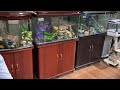 Fish Aquarium Update ~In Hindi | Part 2 | Laxmi Nagar , Delhi 110092 | Fish Aquarium Home