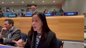 Panel 4:IDC. Lead Discussant. Jennifer del Rosario . IBON International.