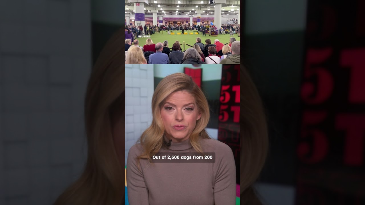 Penny the Doberman wins Westminster Kennel Club Dog Show