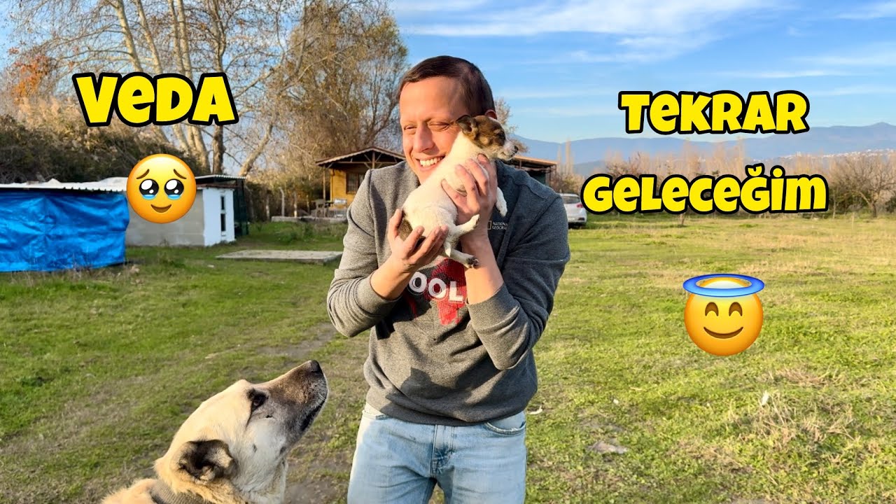 Çiftliğe veda 🥹 İstanbula Dönüş 🚘 Hayvanlarımı Çok Özlemişim 😇 Tekrar Geleceğim 🥰 Eren Acil 