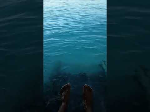 Blacked feet Blue island - YouTube