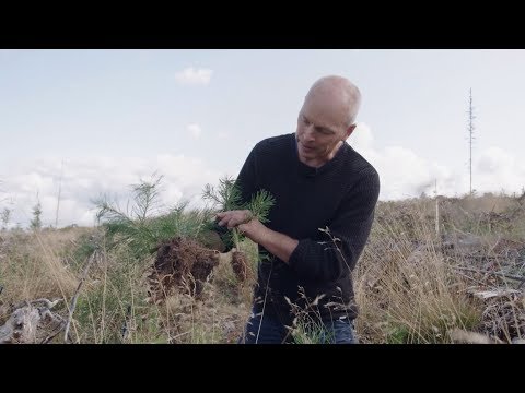 Video: Vilket är det vanligaste gödselmedlet?