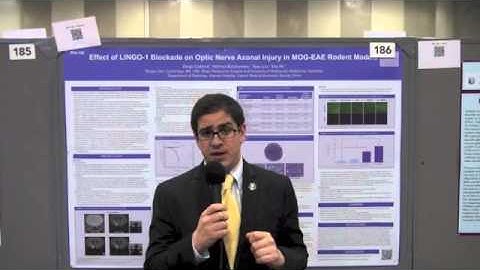 ANTI LINGO and Remyelination