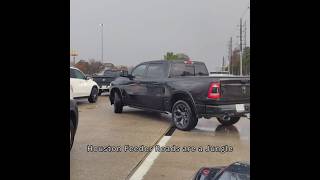 Jurassic Park, But it's Houston Traffic