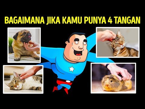 Video: Bagaimanakah jabat tangan bermula?