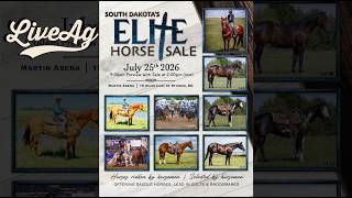 Watch the 2026 South Dakota's Elite Horse Sale Preview