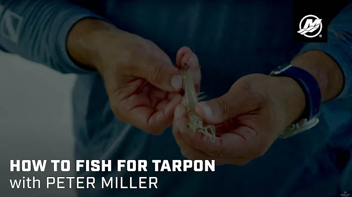 How to Fish for Tarpon with Peter Miller