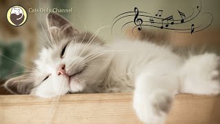 10 Hours of Music for Cats ♬ Harp Music with Cat Purring Sounds ♬ Relaxing Cat Music Mix