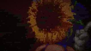 Expand The Garden. Teaser