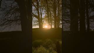 Amazing atmosphere! #videography #nature #sun #atmosphere #lighting #sunrise #sunset #summer #sun