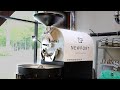 Newport coffee house  probat p12 ii roaster