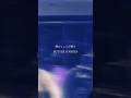 勘ぐる僕の脳内は #BUTTERCOOKIES #バタークッキーズ #豚のしょうが焼き #music #shorts