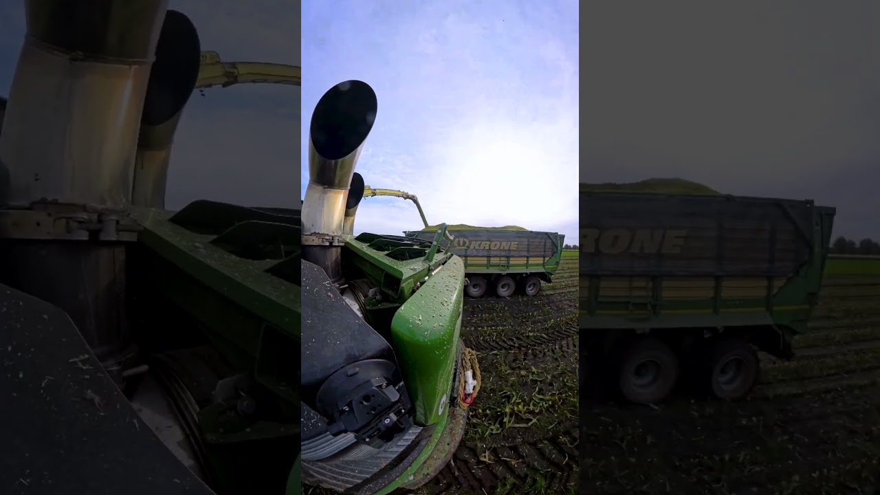 Schiere Lohner gesucht | Komm ins Team Janssen Rhede