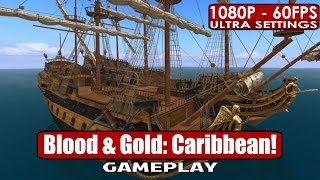 Blood and Gold Caribbean gameplay PC HD [1080p/60fps]
