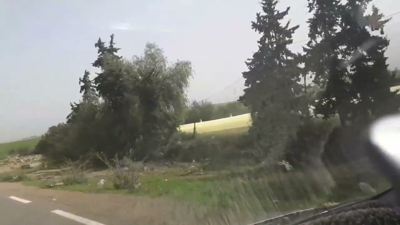 عودة  الغطاء  النباتي من جديد بعد شح الأمطار  حمام بوحجر و مجاورها26\03\2022