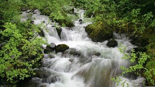 Sacred River (relaxation) ~ Oak Shine