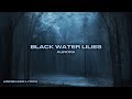 Black Water Lilies Lyrics By Aurora