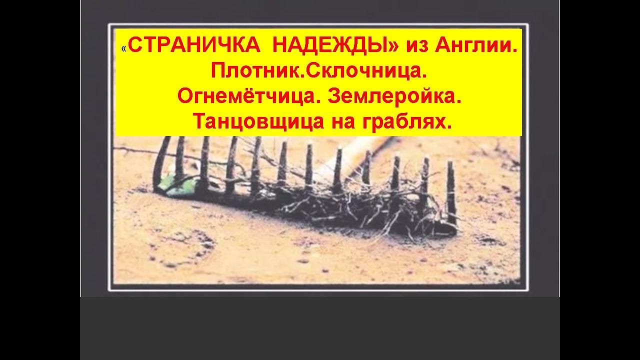 Страничка надежды на дзене