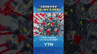  YTN