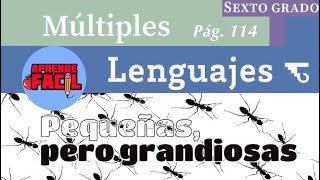 Pequenas pero grandiosas Multiples lenguajes 6to grado Audiolibro Nuevos libros 
