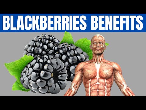 Video: What Are The Beneficial Properties Of Blackberries