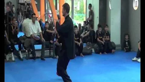 Wing Chun Kung Fu - Chinese Martial Arts and Yoga ...