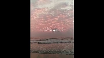 سورة الفيل بصوت القارئ ماهر المعيقلي.🎧