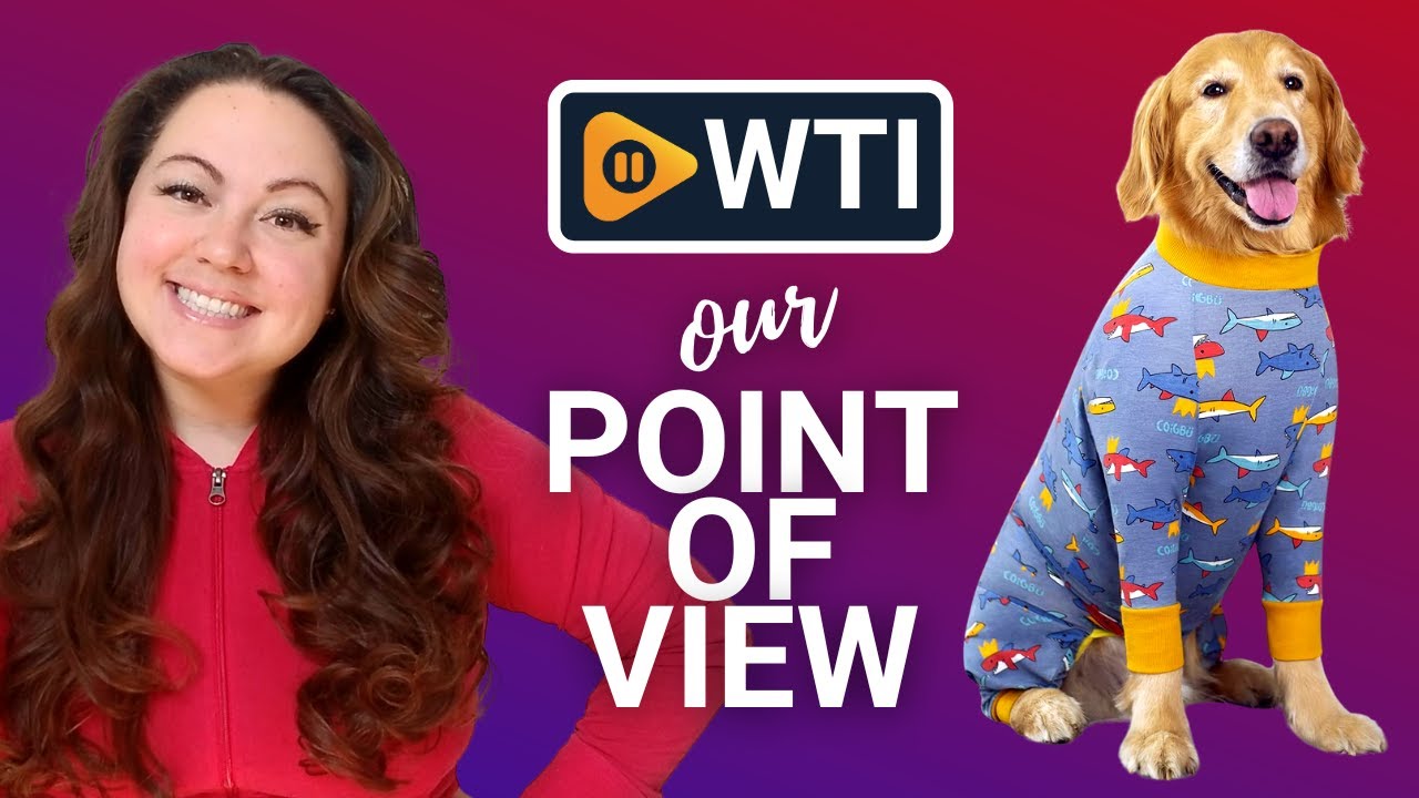 Yeapeeto Dog Recovery Suit | Our Point Of View