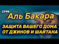 Сура Аль Бакара, обязательно включайте в ваших дома. Зашита от джинов и шайтана.