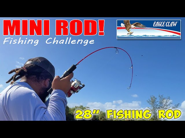 Mini Fishing Rod! 28 Dock Rod from Eagle Claw 