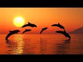 Relaxing Music 24/7, Calming Music, Meditation Music, Sleep Music, Study, Relax, Stress Relief Music