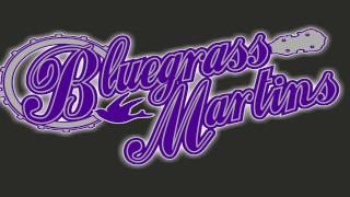 Bluegrass Martins Live @ The Royal Theater 2016