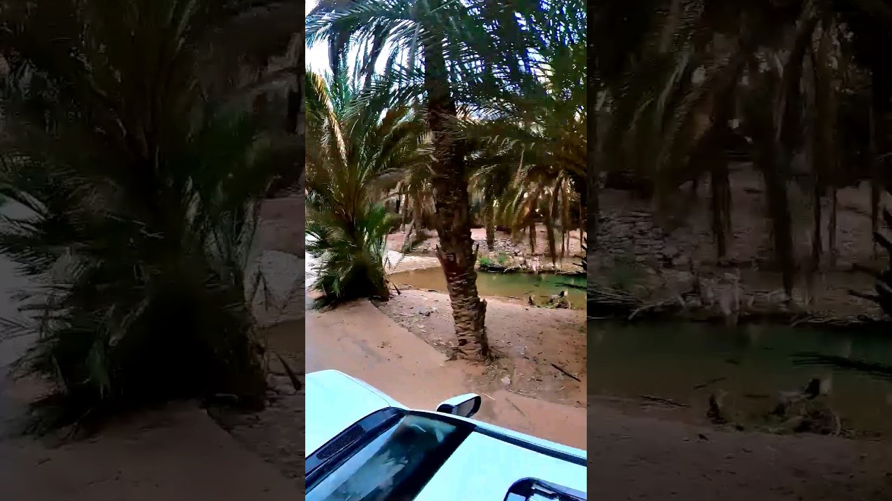 les gorges d'Aït Mansour au 