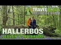 Leuven Hallerbos Waterloo