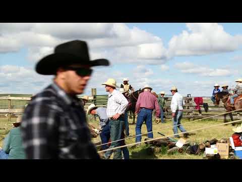 vaquero-series::-canuck-cowmen-vaquero-13-trailer
